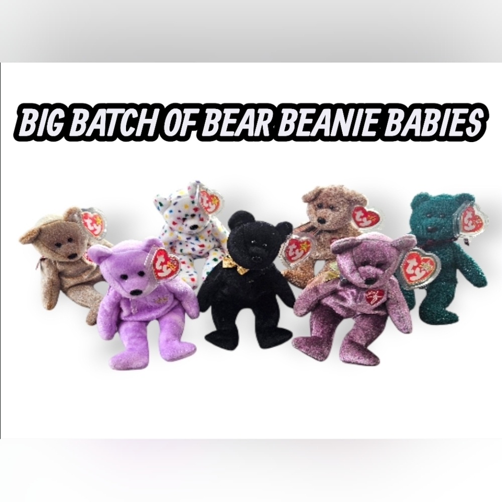 Ty Multicolor Bear Beanie Babies Collection